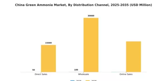 China Green Ammonia Market Segment Image 1