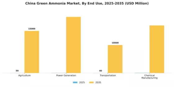 China Green Ammonia Market Segment Image 2