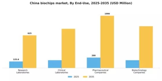 China Biochips Market Segment Image 1