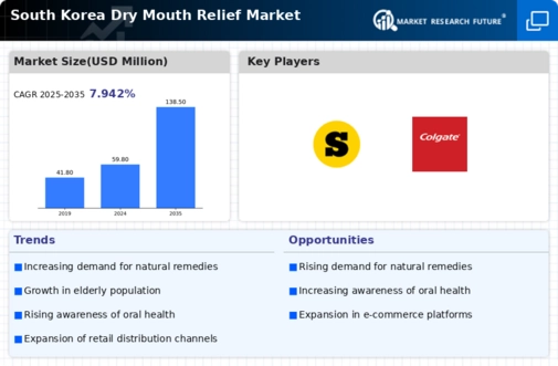 South Korea Dry Mouth Relief Market Infographic