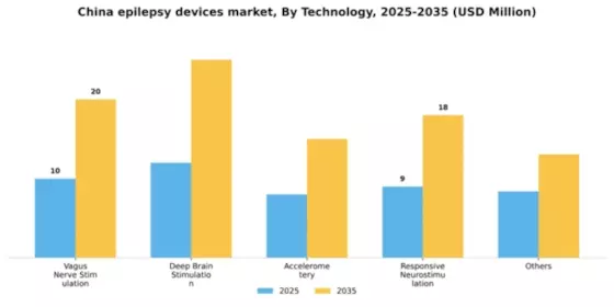 China Epilepsy Devices Market Segment Image 2