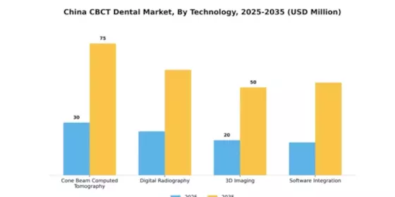 China CBCT Dental Market Segment Image 2