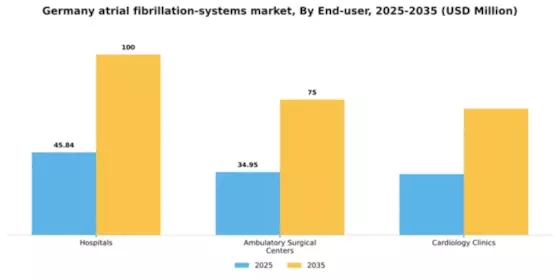 Germany Atrial Fibrillation Systems Market Segment Image 0