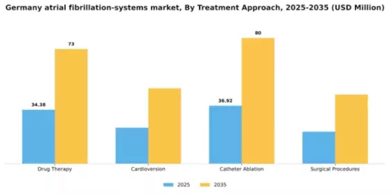 Germany Atrial Fibrillation Systems Market Segment Image 1