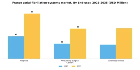 France Atrial Fibrillation Systems Market Segment Image 0