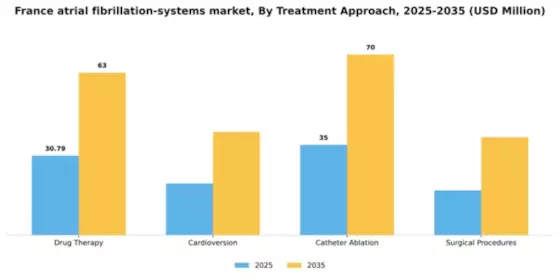 France Atrial Fibrillation Systems Market Segment Image 1