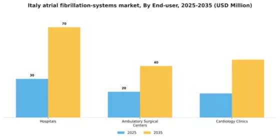 Italy Atrial Fibrillation Systems Market Segment Image 0