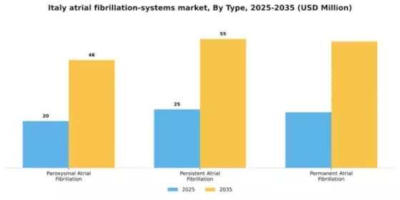 Italy Atrial Fibrillation Systems Market Segment Image 2