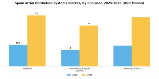 Spain Atrial Fibrillation Systems Market Segment Image 0