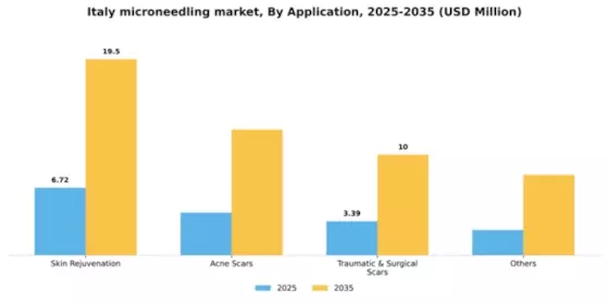 Italy Microneedling Market Segment Image 0