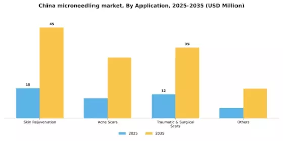 China Microneedling Market Segment Image 0