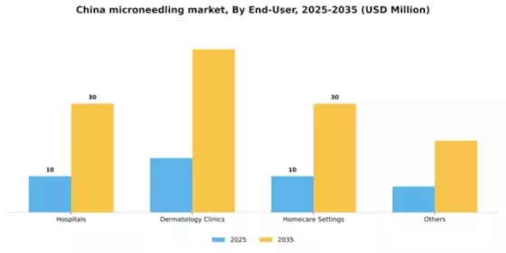 China Microneedling Market Segment Image 1