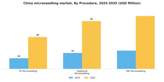 China Microneedling Market Segment Image 3