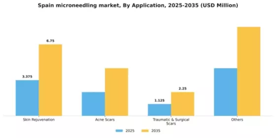Spain Microneedling Market Segment Image 0