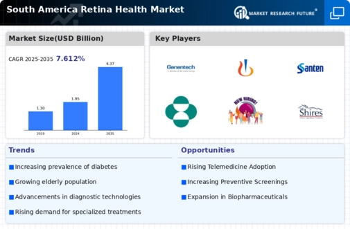 South America Retina Health Market Infographic