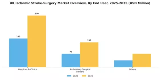 UK Ischemic Stroke Surgery Market Segment Image 0