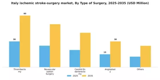 Italy Ischemic Stroke Surgery Market Segment Image 2