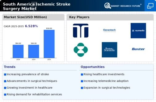 South America Ischemic Stroke Surgery Market Infographic