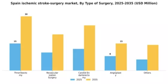 Spain Ischemic Stroke Surgery Market Segment Image 2