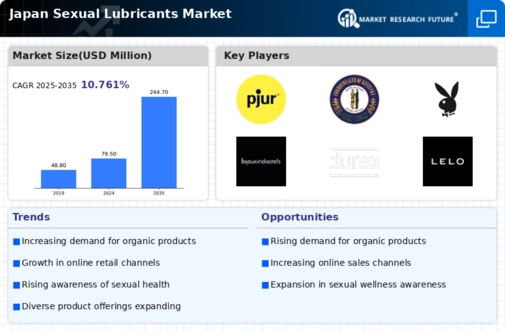 Japan Sexual Lubricants Market Infographic