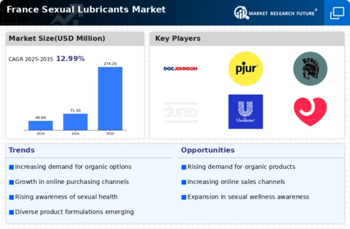 France Sexual Lubricants Market Infographic