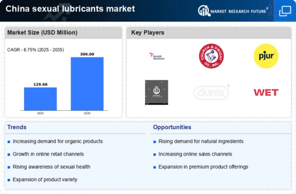 China Sexual Lubricants Market Infographic