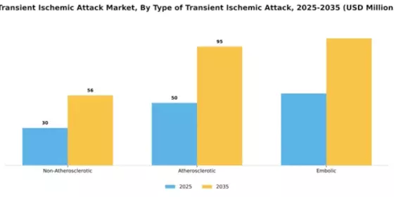 Transient Ischemic Attack Market Segment Image 4