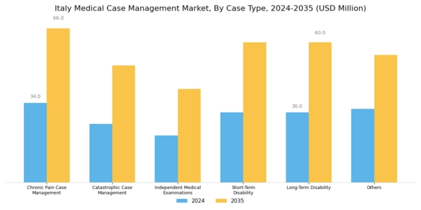 Italy Medical Case Management Market Segment Image 1