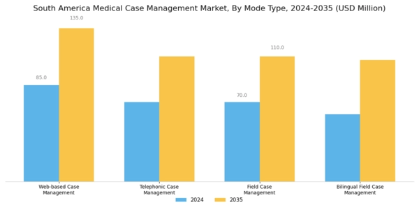South America Medical Case Management Market Segment Image 0