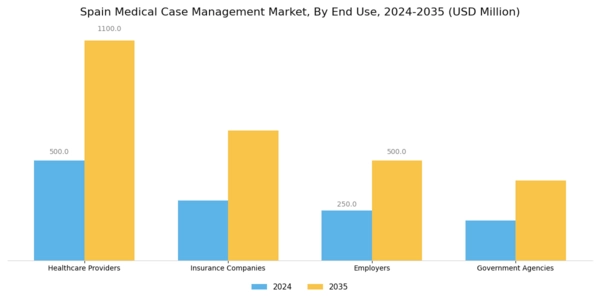 Spain Medical Case Management Market Segment Image 1