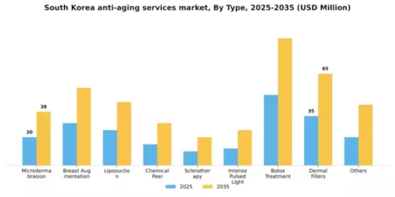 South Korea Anti Aging Services Market Segment Image 1