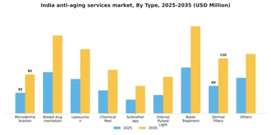 India Anti Aging Services Market Segment Image 1
