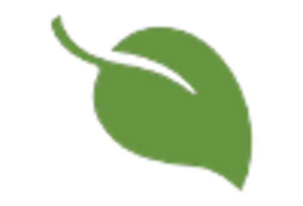 South America Organic Natural Tampons Market key player