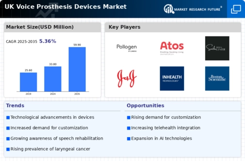 UK Voice Prosthesis Devices Market Infographic