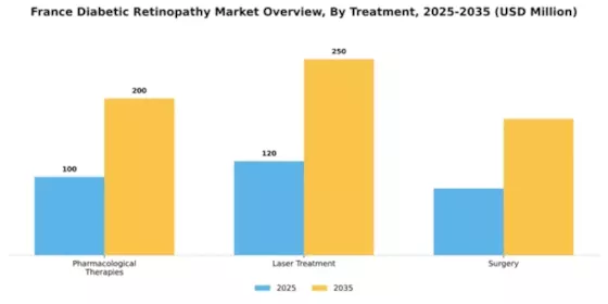 France Diabetic Retinopathy Market Segment Image 1
