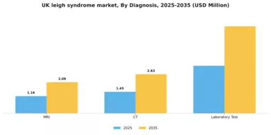 UK Leigh Syndrome Treatment Market Segment Image 0