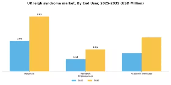 UK Leigh Syndrome Treatment Market Segment Image 1