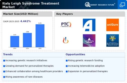 Italy Leigh Syndrome Treatment Market Infographic