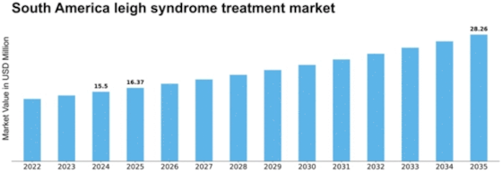 South America Leigh Syndrome Treatment Market Size