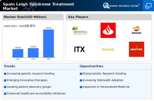 Spain Leigh Syndrome Treatment Market Infographic