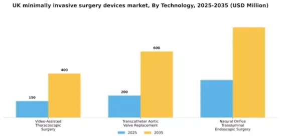 UK Minimally Invasive Surgery Devices Market Segment Image 3