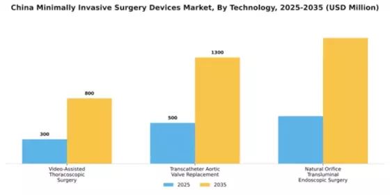 China Minimally Invasive Surgery Devices Market Segment Image 3