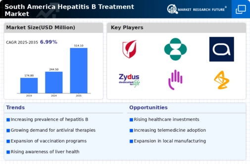 South America Hepatitis B Treatment Market Infographic