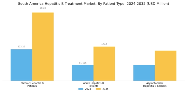 South America Hepatitis B Treatment Market Segment Image 2