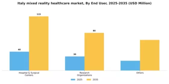 Italy Mixed Reality Healthcare Market Segment Image 3