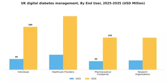 UK Digital Diabetes Management Market Segment Image 1