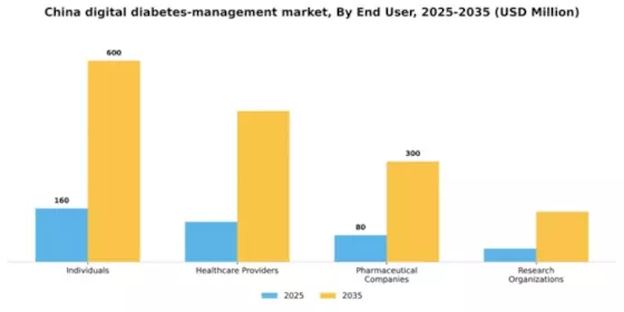 China Digital Diabetes Management Market Segment Image 1