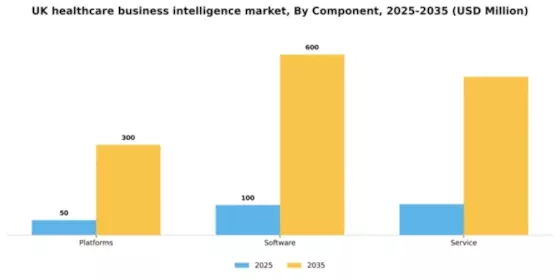 UK Healthcare Business Intelligence Market Segment Image 0