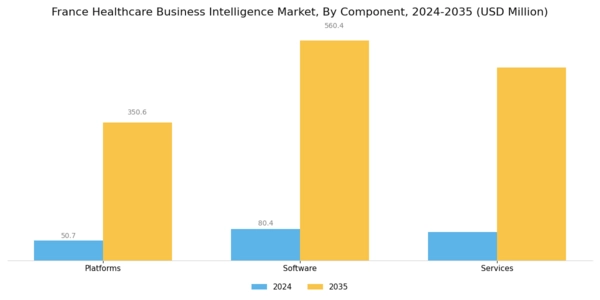 France Healthcare Business Intelligence Market Segment Image 0
