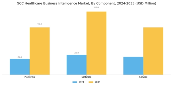 GCC Healthcare Business Intelligence Market Segment Image 0